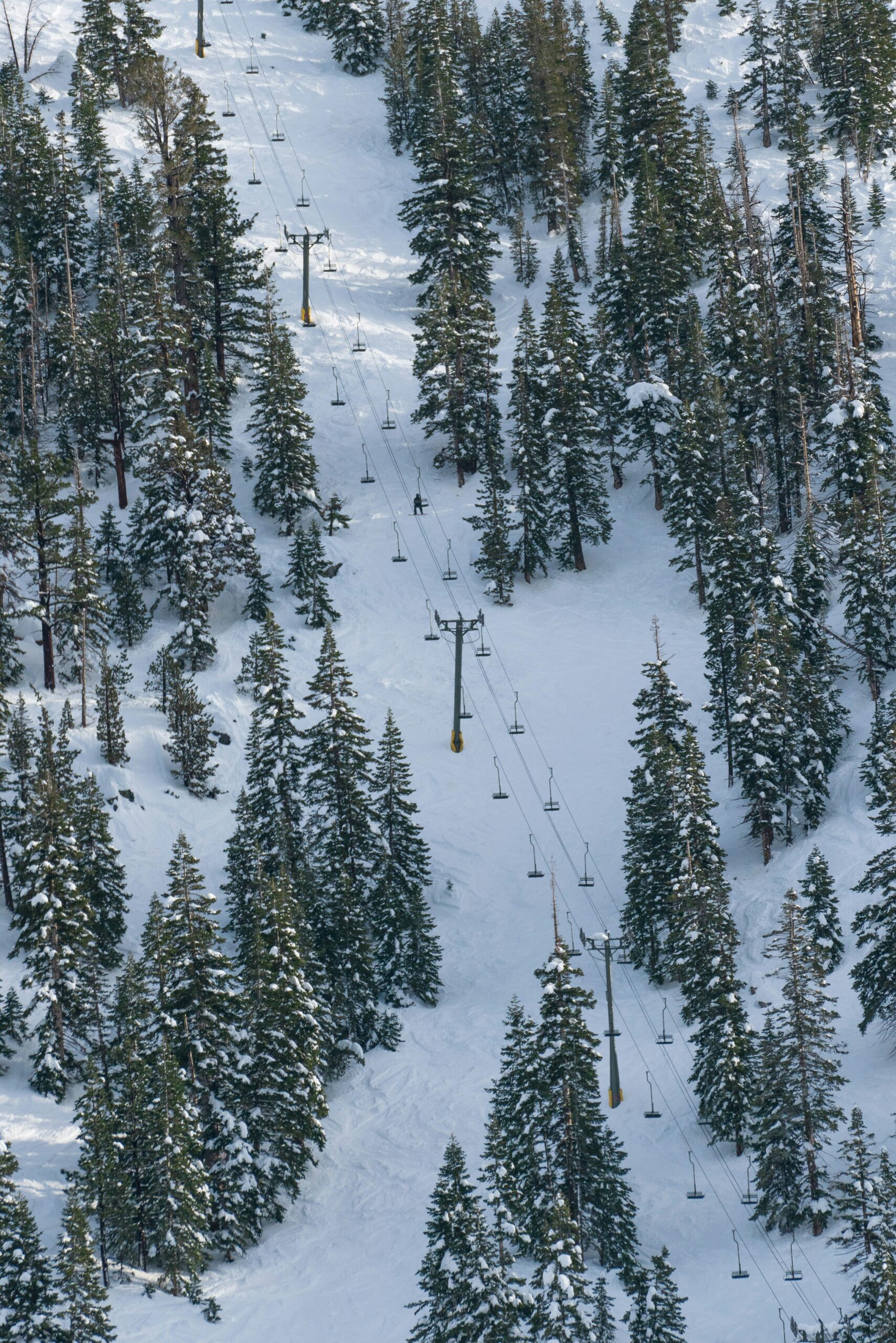 June Mountain Snow Report 2025: Fresh Powder and Prime Spring Conditions Ahead