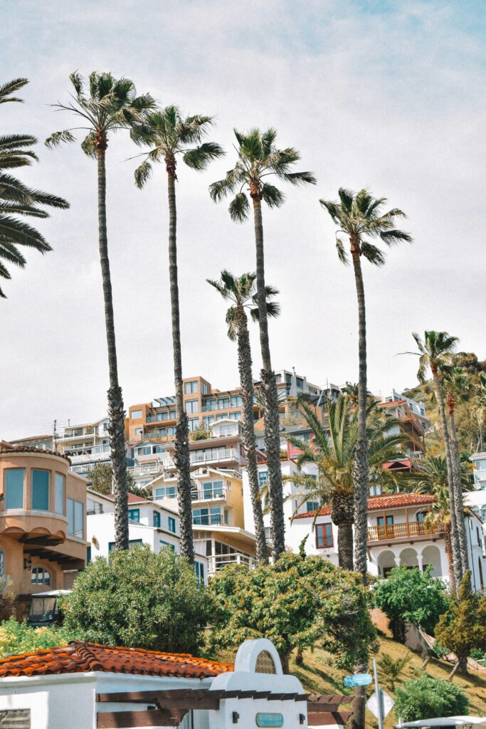 'Best of Winter' Catalina Island Hotels Discount Packages: Top Oceanfront Stays for 2025