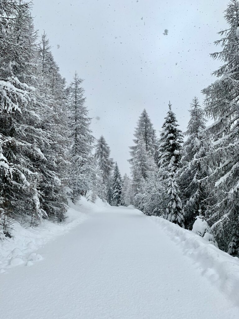 California's Winter Storm Snowfall Forecast 2025: Sierra Nevada Expected to Receive Up to 10 Feet