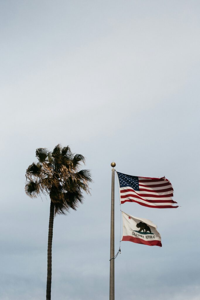 Facts About the California Flag: Origins and Symbolism of the Bear Republic Banner