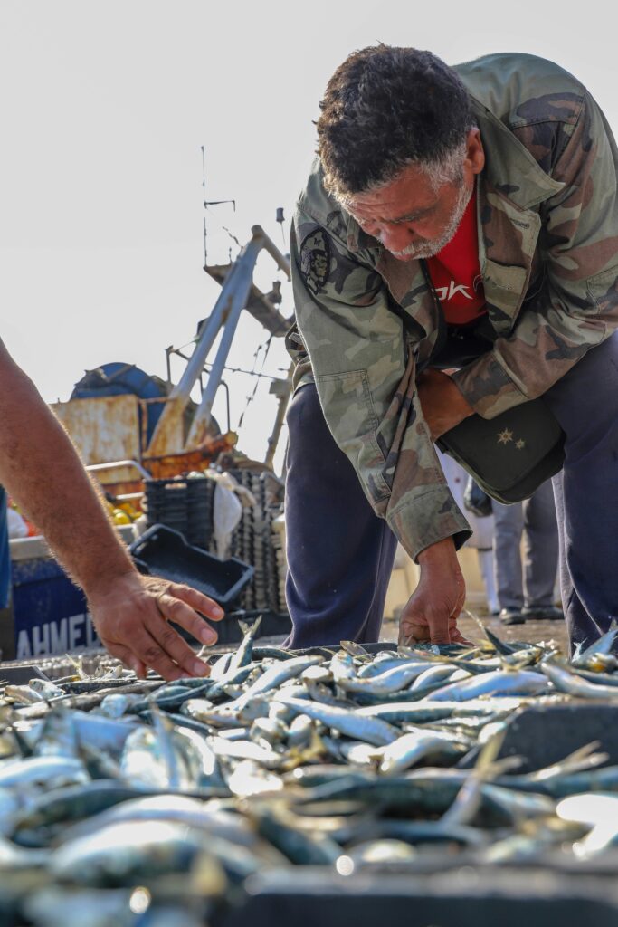 Best Fish Markets on the West Coast: Fresh Catches from Seattle to San Diego