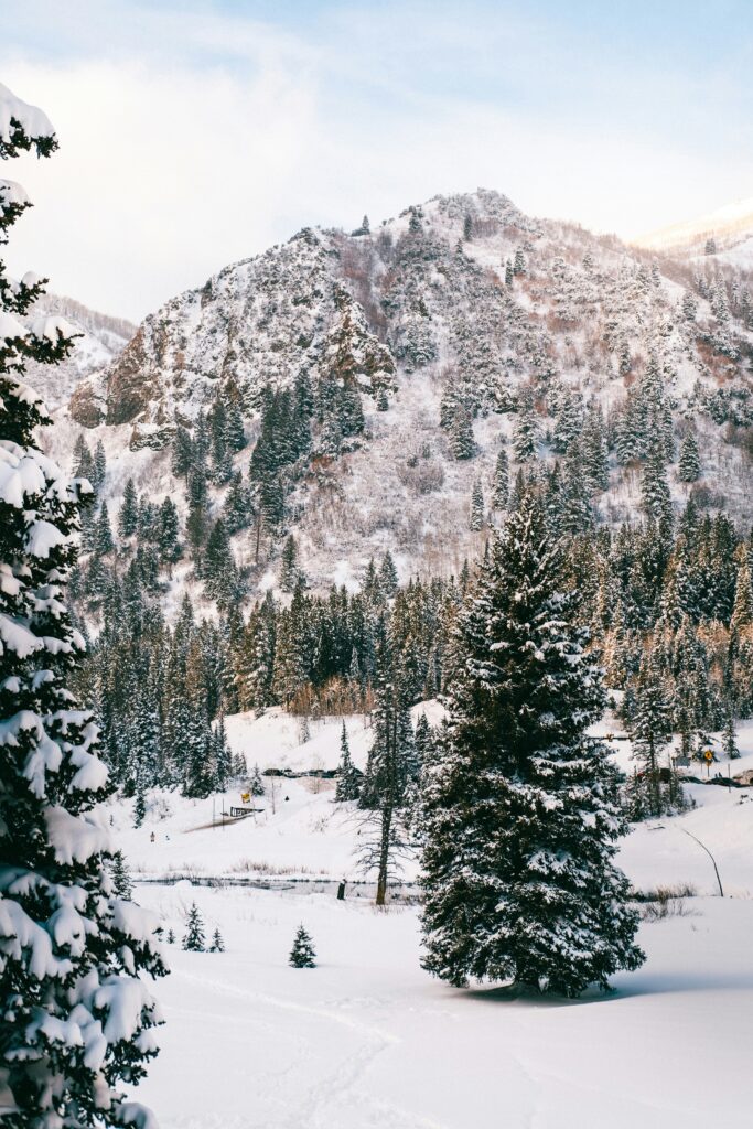 Mammoth Avalanche: Multiple Slides Hit Eastern Sierra Ski Resorts Area