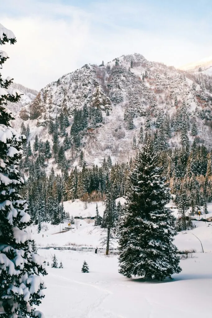 Mammoth Avalanche: Multiple Slides Hit Eastern Sierra Ski Resorts Area