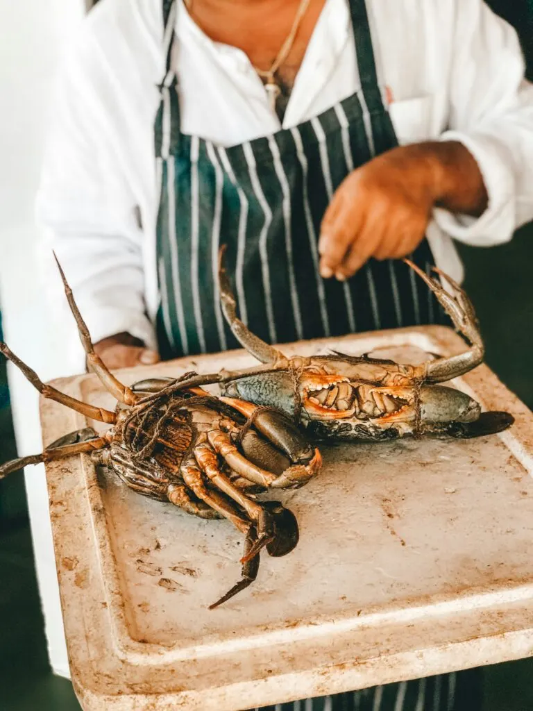 Best Fish Markets on the West Coast: Fresh Catches from Seattle to San Diego