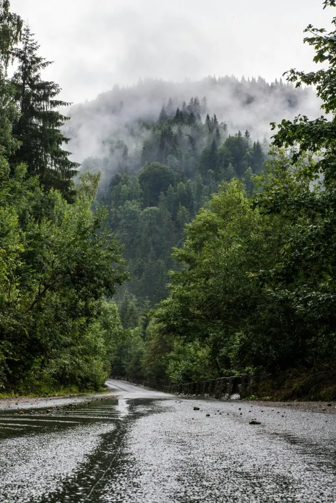 Preparing for California's Flash Flood Watch 2025: Essential Safety Steps for Residents