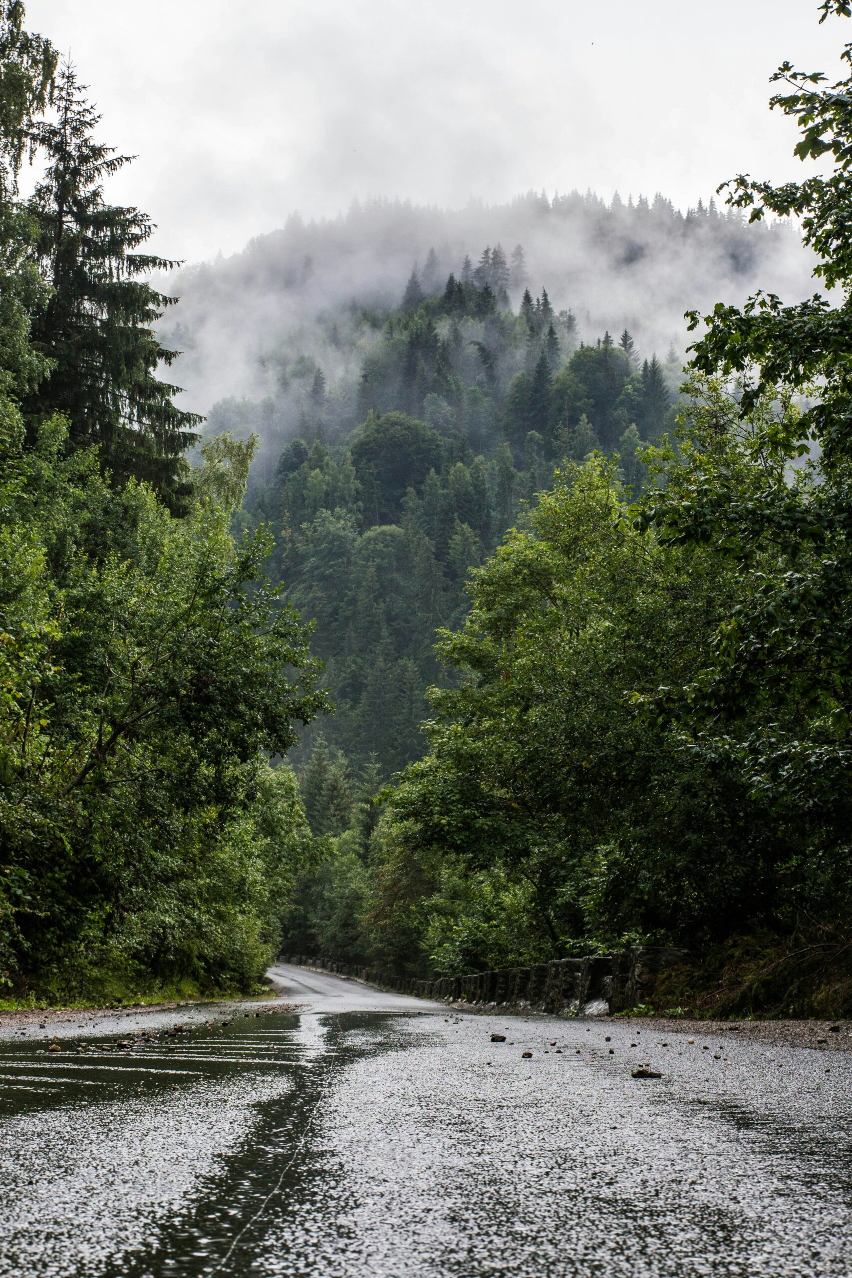 Preparing for California's Flash Flood Watch 2025: Essential Safety Steps for Residents
