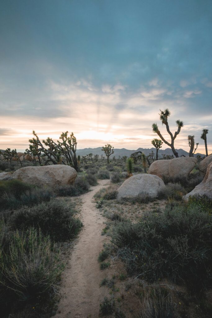 Top Destinations in California for Nature Lovers: 12 Must-Visit Parks and Wilderness Areas