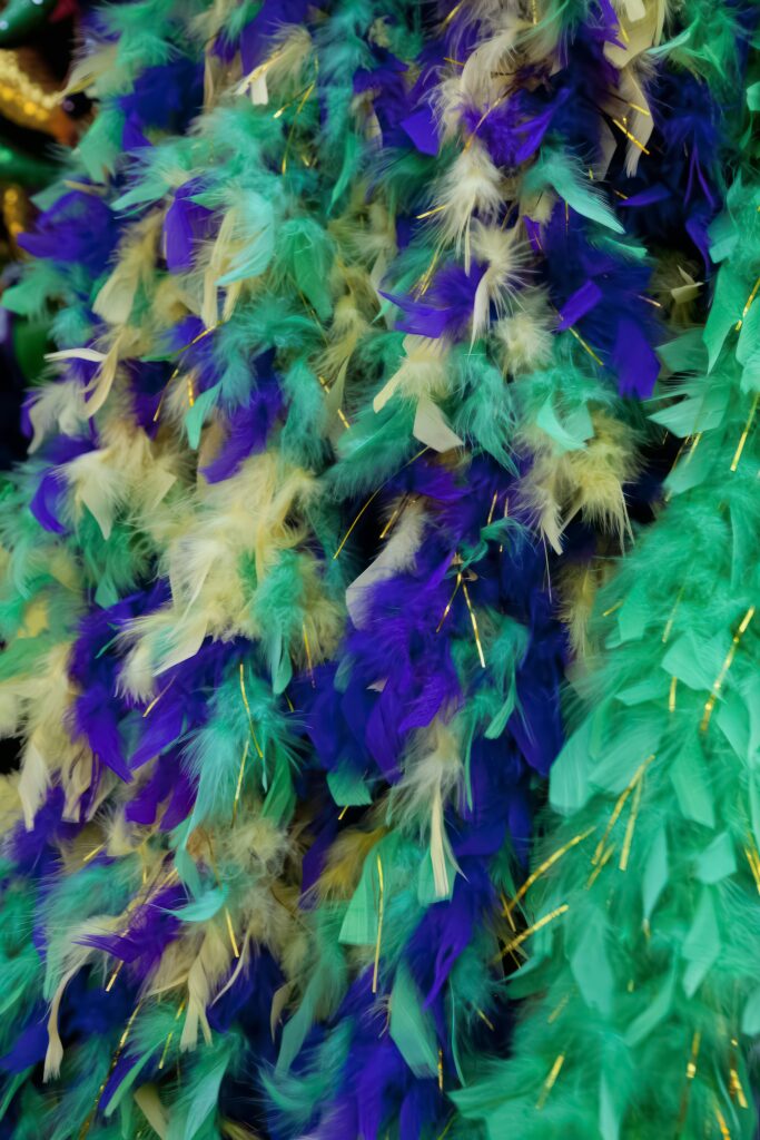 Mardi Gras 2025 Celebrations in California: Top Events and Festivities to Enjoy