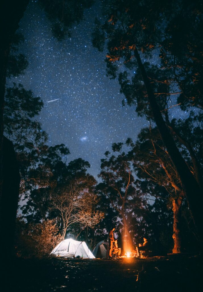 Yosemite National Park Opens New Campsites for Summer Reservations 2025: Opening Dates and Booking Information