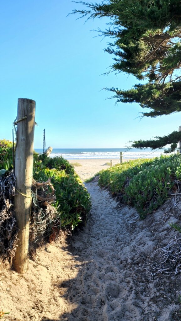 Top 10 Reasons to Visit California this Summer: Must-See Attractions and Experiences 2 Top 10 Reasons to Visit California this Summer: Must-See Attractions and Experiences