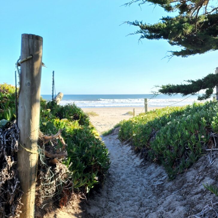 Top 10 Reasons to Visit California this Summer: Must-See Attractions and Experiences