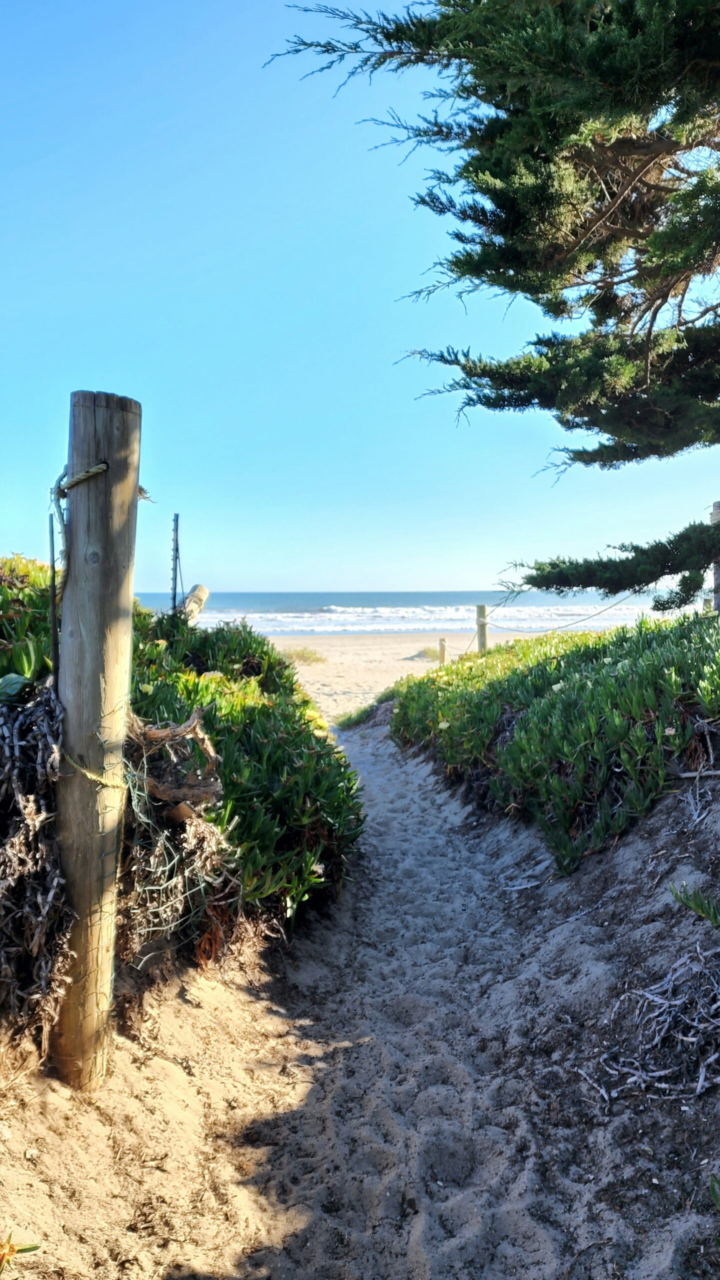 Top 10 Reasons to Visit California this Summer: Must-See Attractions and Experiences