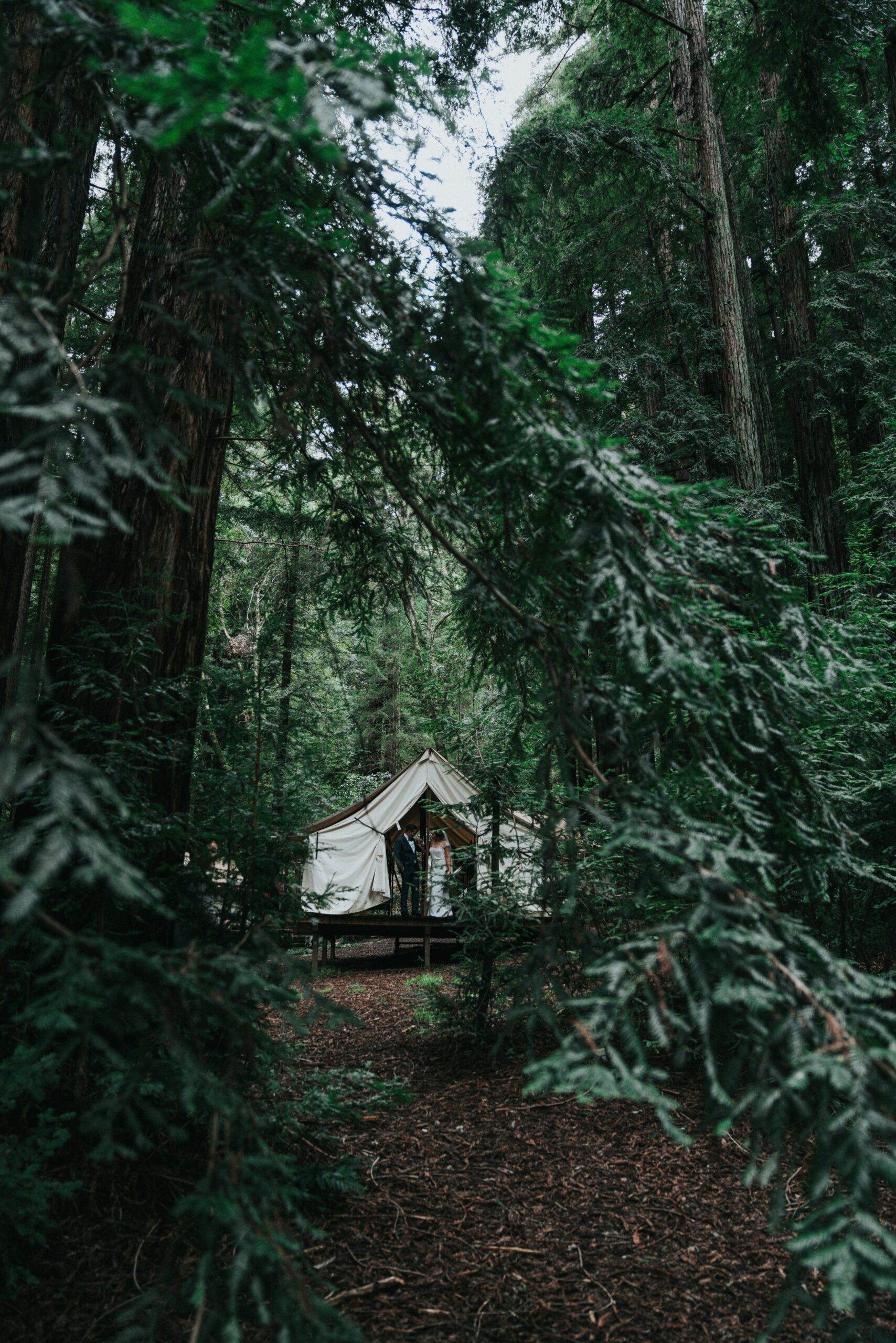 Best Campgrounds in Northern California: Top Scenic Retreats for 2025