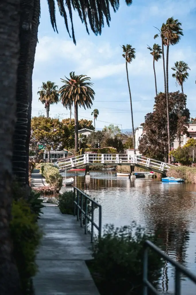 Free Things to Do in California: Top 10 Budget-Friendly Activities for 2025 5 Free Things to Do in California: Top 10 Budget-Friendly Activities for 2025