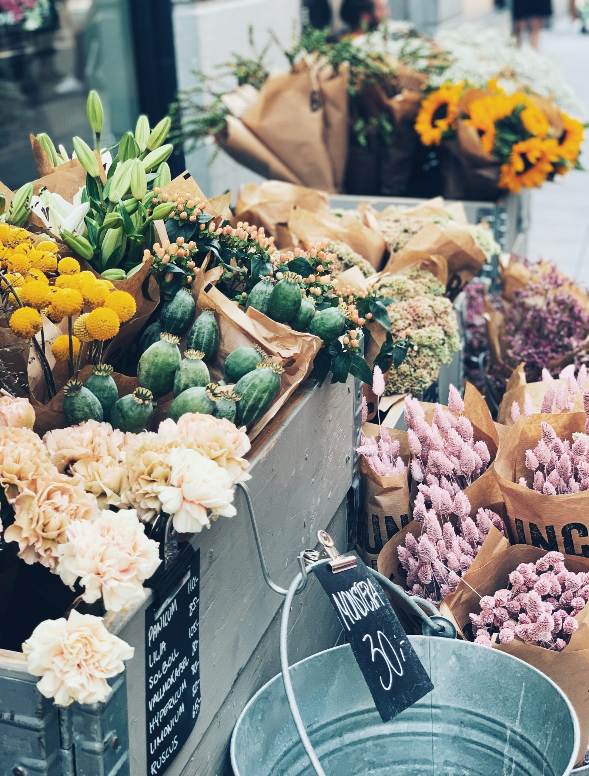 Celebrate Mother’s Day in California with Fun Outdoor Experiences: Top Activities and Destinations for Families