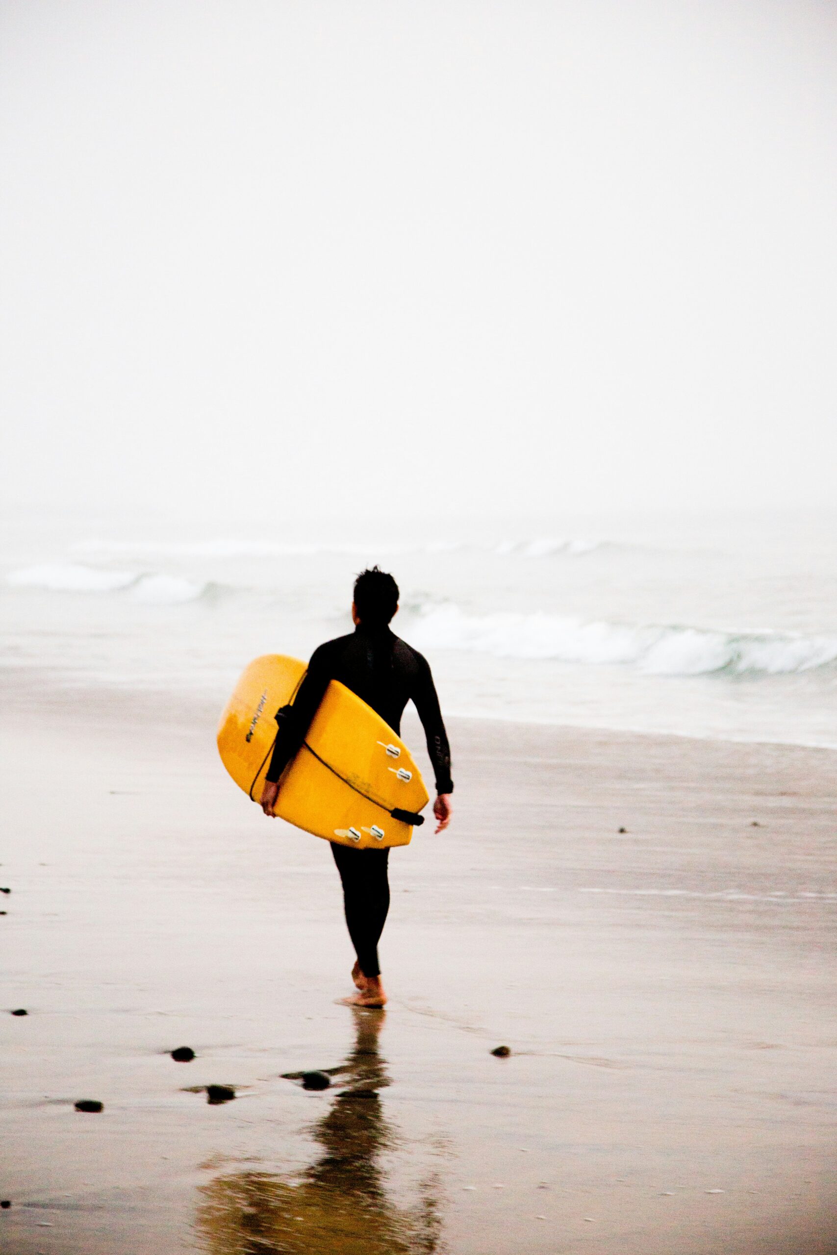 Discover Carlsbad: California’s Best-Kept Secrets for Travelers and Locals 6 Discover Carlsbad: California’s Best-Kept Secrets for Travelers and Locals