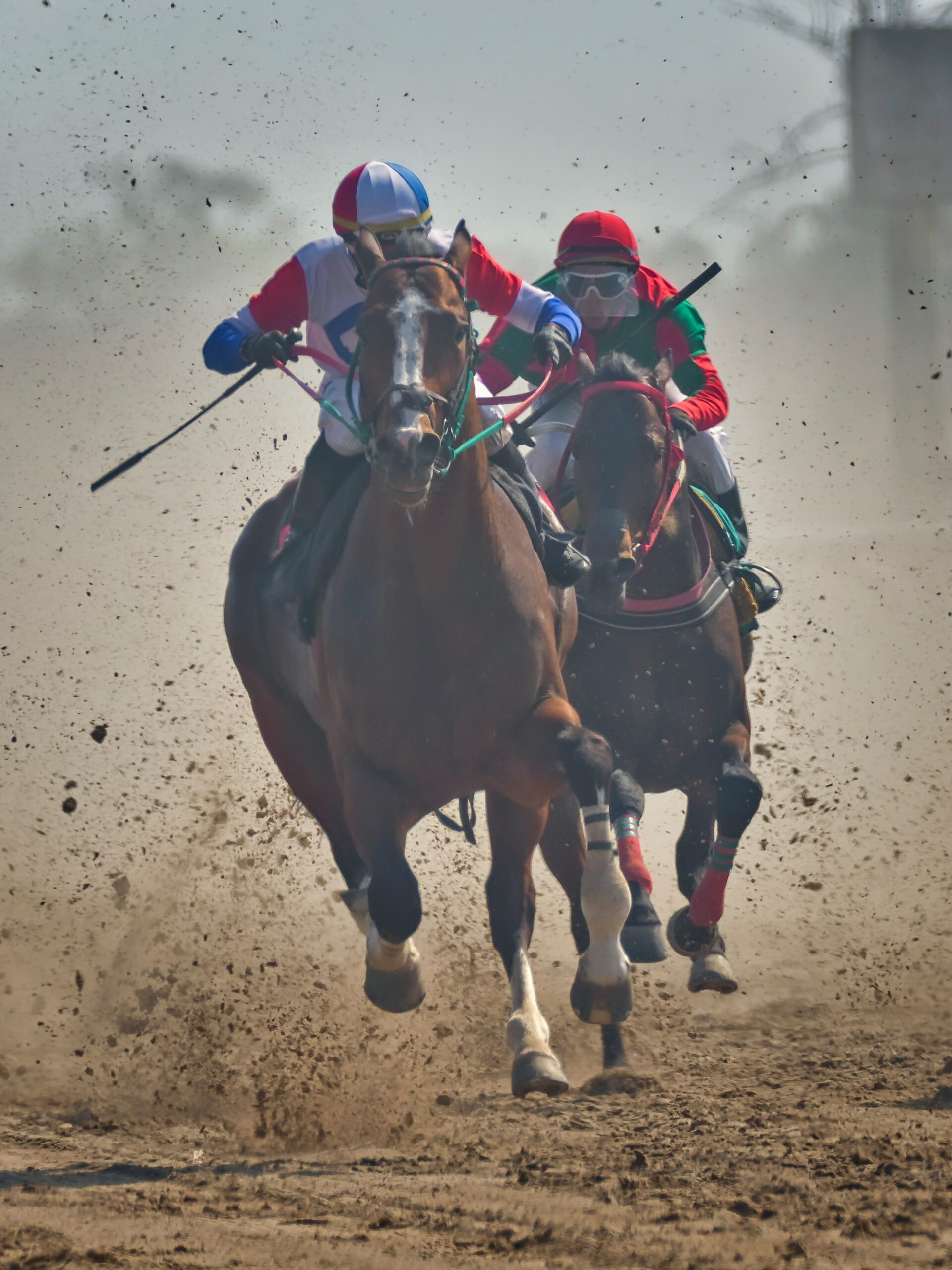Where to Watch the Kentucky Derby 2025 in California: Top Venues and Viewing Options