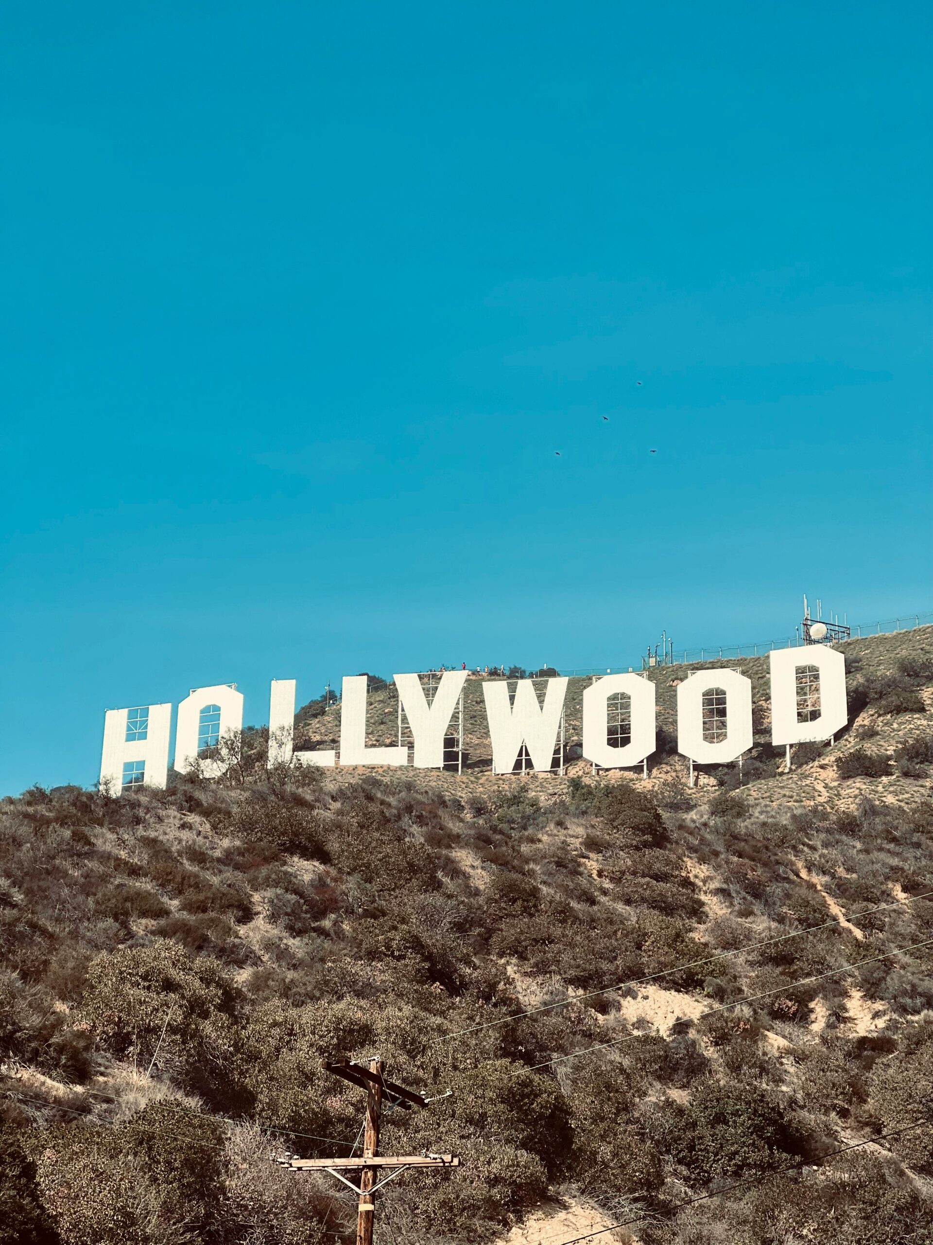 Clichés About California That Are Actually True: What Stereotypes Reveal About the Golden State 5 Clichés About California That Are Actually True: What Stereotypes Reveal About the Golden State