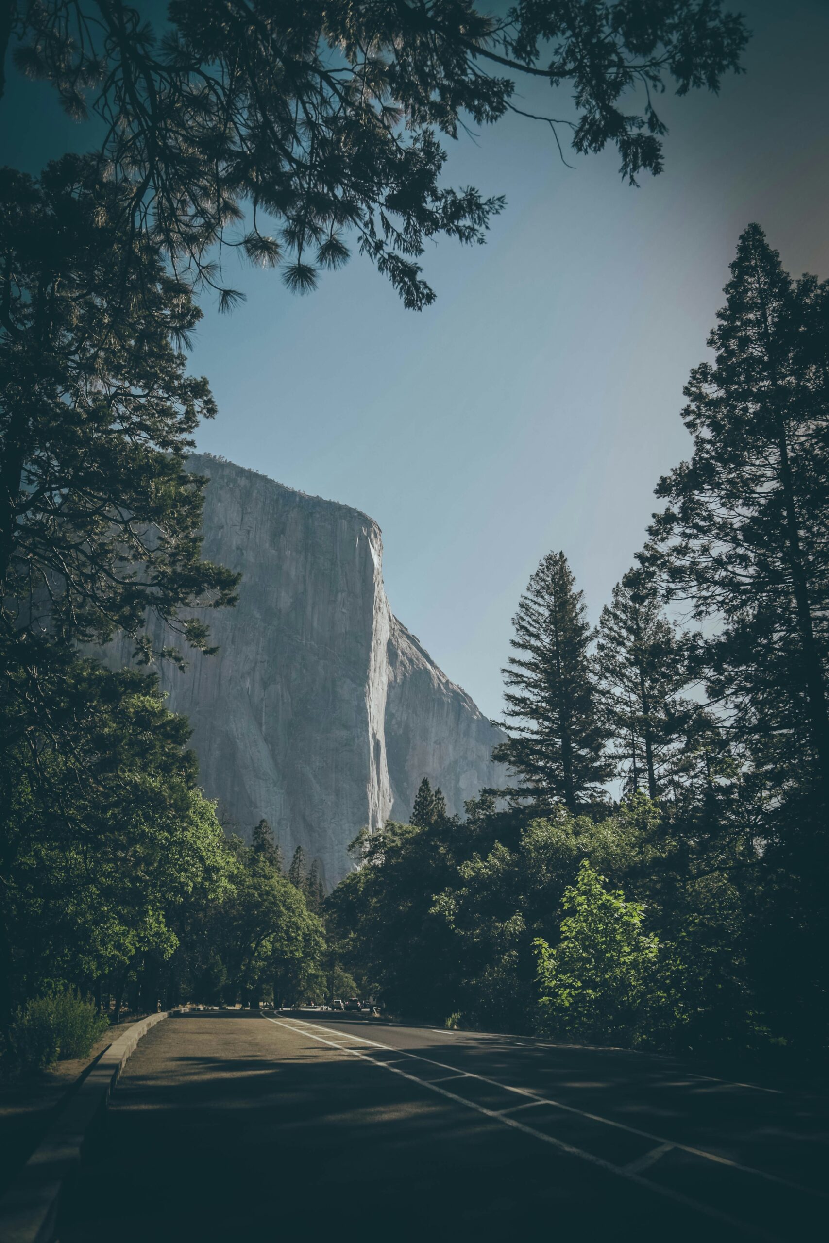 10 Shocking Reasons Why Spring Is the Best Time to Visit Yosemite: #7 Will Blow Your Mind! 7 10 Shocking Reasons Why Spring Is the Best Time to Visit Yosemite: #7 Will Blow Your Mind!