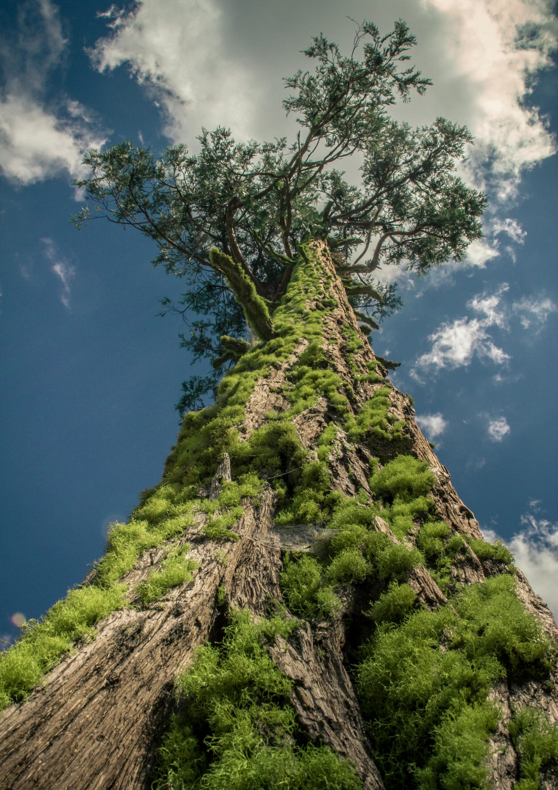 10 Shocking Reasons Why Spring Is the Best Time to Visit Yosemite: #7 Will Blow Your Mind! 8 10 Shocking Reasons Why Spring Is the Best Time to Visit Yosemite: #7 Will Blow Your Mind!