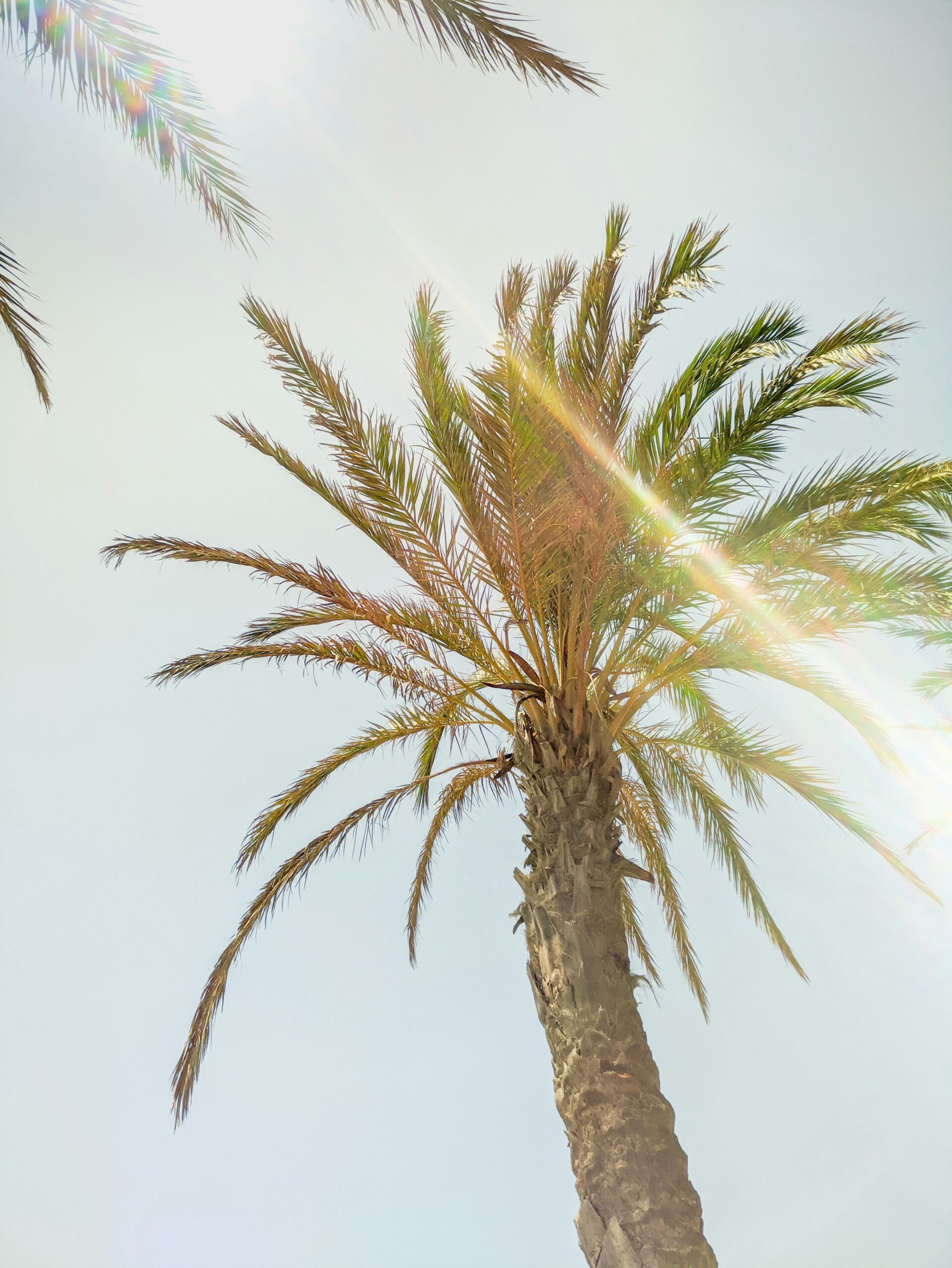 Beat the Heat: Top Southern California Destinations for Cool Relief During A Heat Advisory 1 Beat the Heat: Top Southern California Destinations for Cool Relief During a Heat Advisory