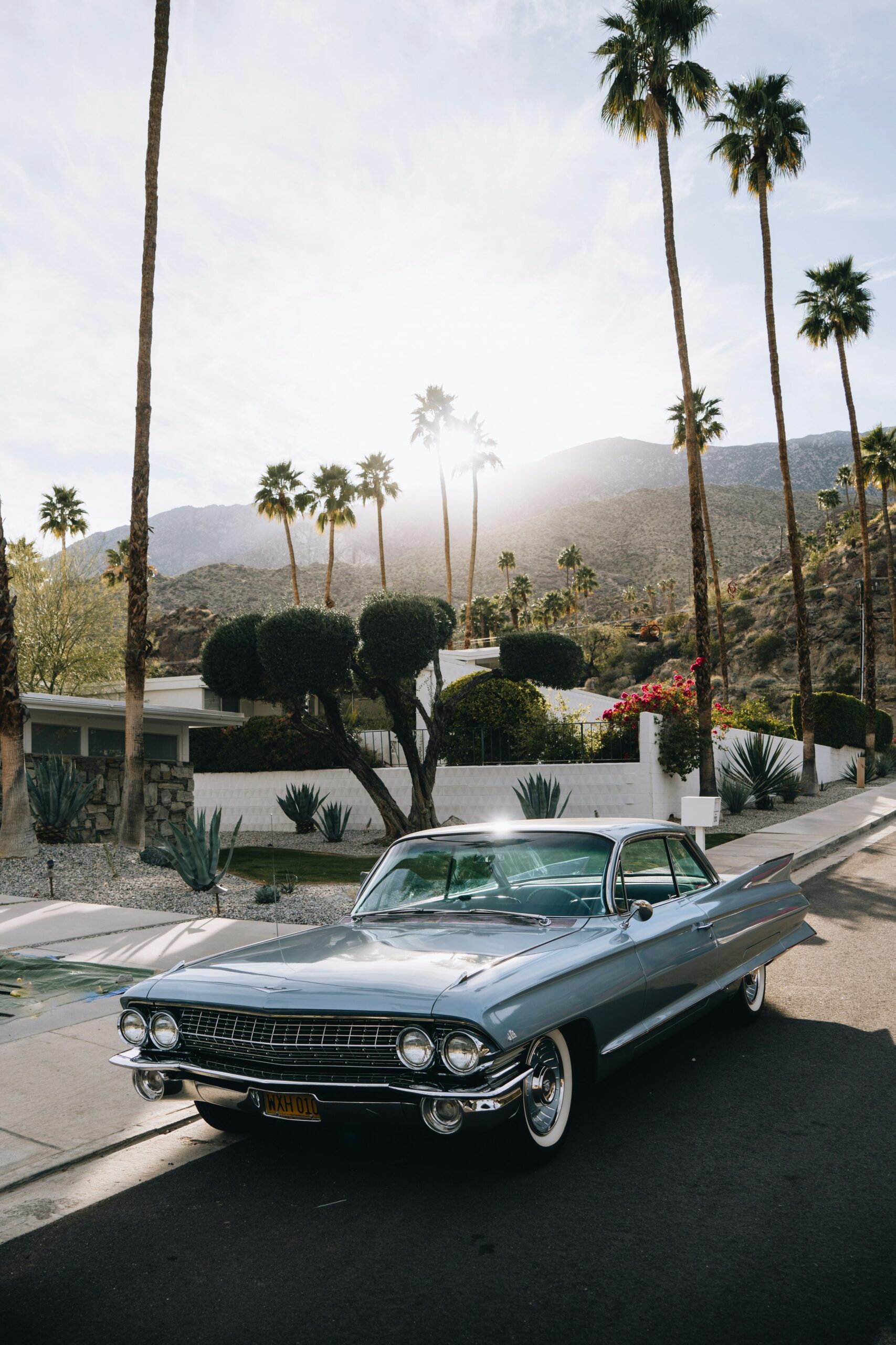 How to Spend a Perfect Day in Palm Springs: Top Activities, Dining, and Relaxation Tips 6 How to Spend a Perfect Day in Palm Springs: Top Activities, Dining, and Relaxation Tips