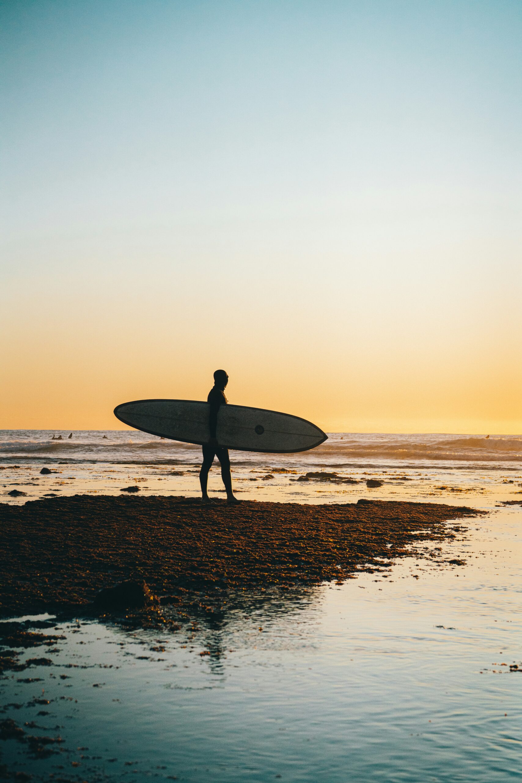 Clichés About California That Are Actually True: What Stereotypes Reveal About the Golden State