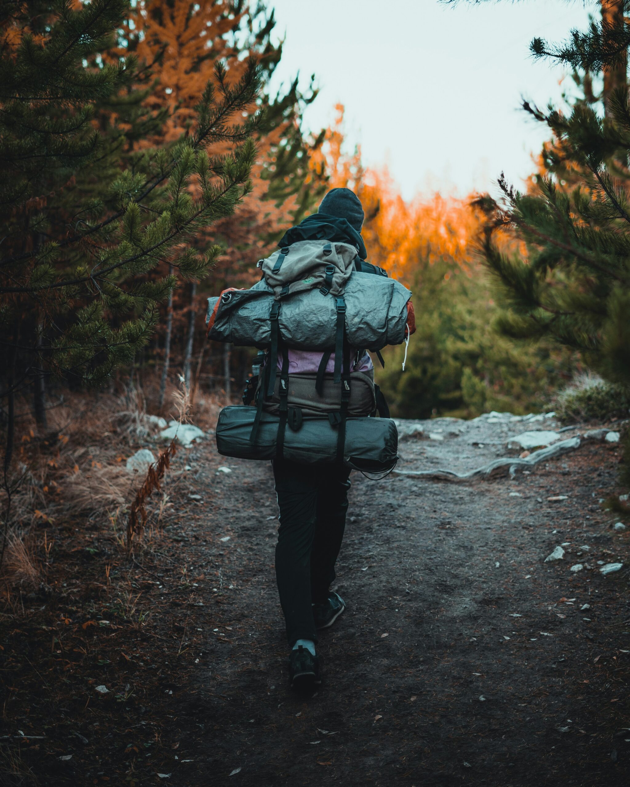 Your Guide to Reservation-Free Camping in California: Top Spots and Essential Tips 8 Your Guide to Reservation-Free Camping in California: Top Spots and Essential Tips