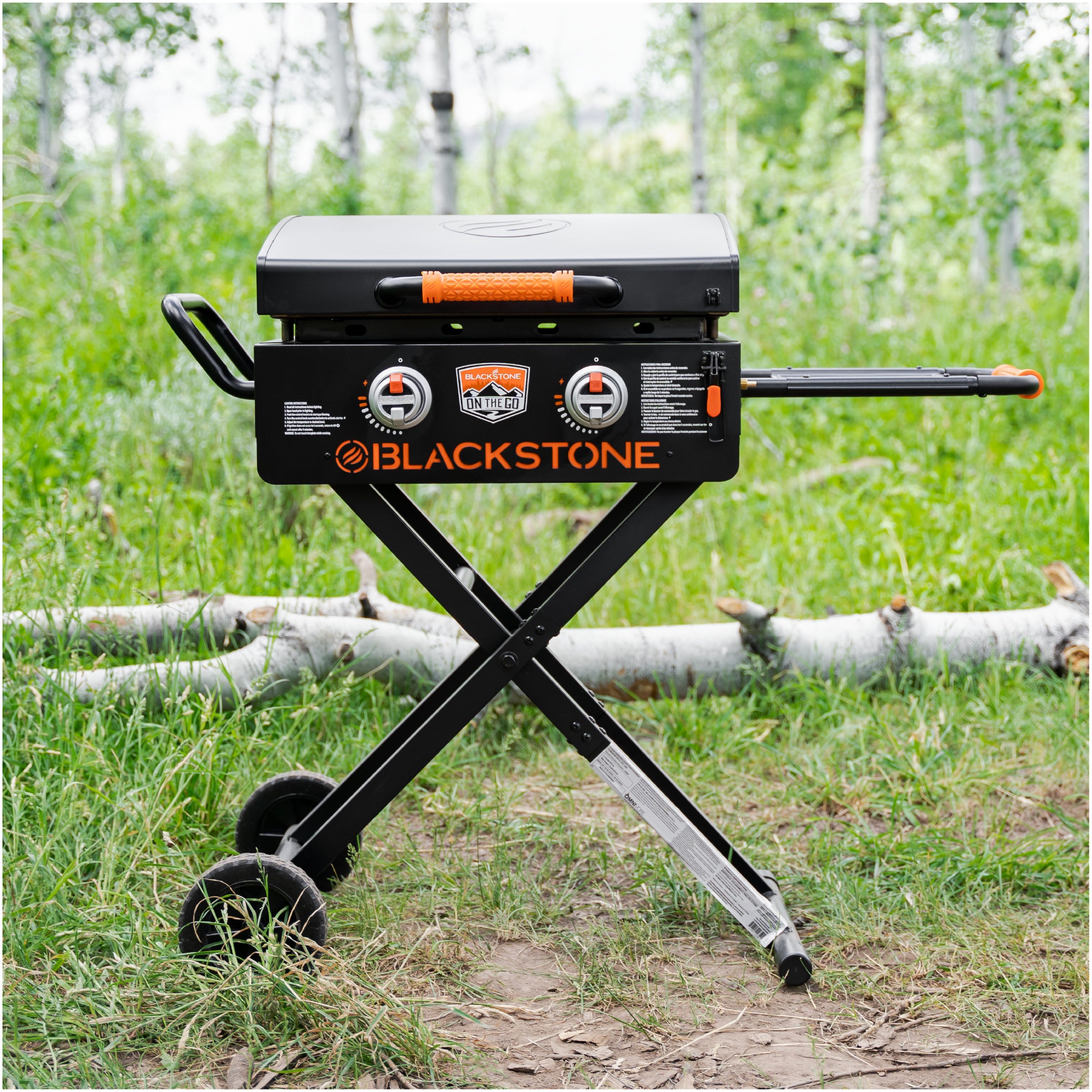 Why Everyone’s Obsessed with Blackstone Camping: You’ll Want One ASAP! 4 Why Everyone’s Obsessed with Blackstone Camping: You’ll Want One ASAP!