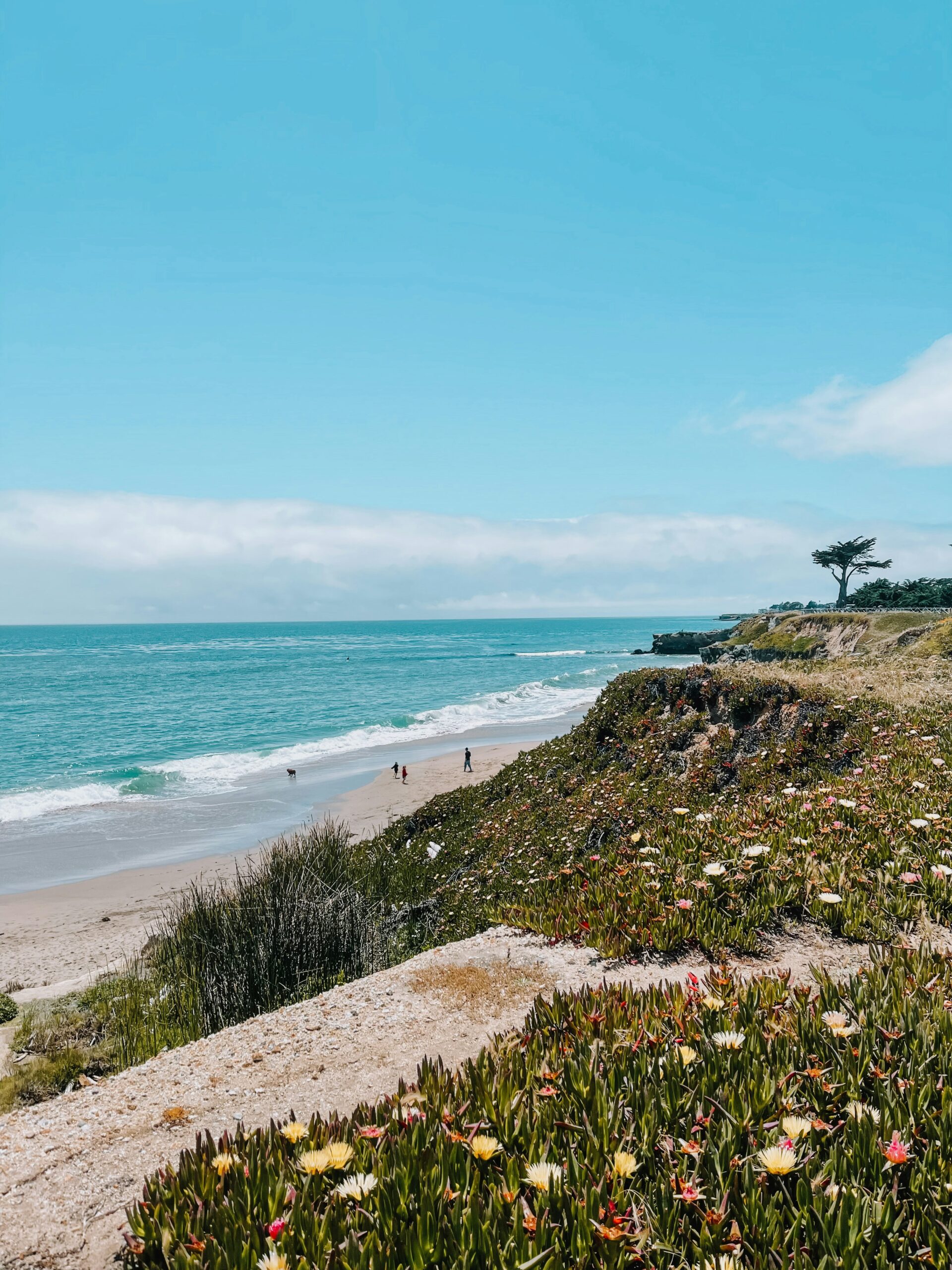 Most Beautiful Walkable Cities in California for Scenic Urban Exploration 2 Most Beautiful Walkable Cities in California for Scenic Urban Exploration