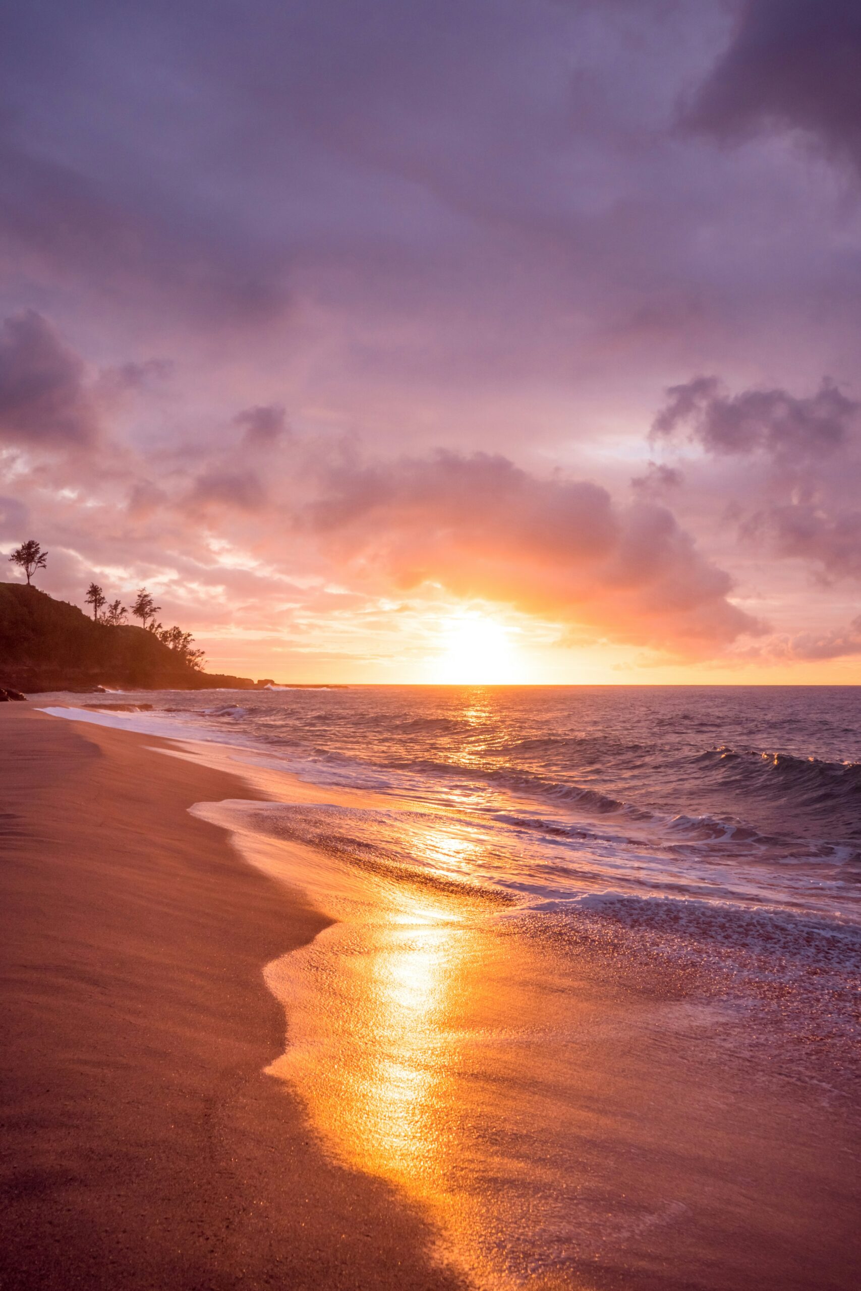 Searching for Seashells: California’s Best Beaches for Beachcombing Adventures 5 Searching for Seashells: California’s Best Beaches for Beachcombing Adventures