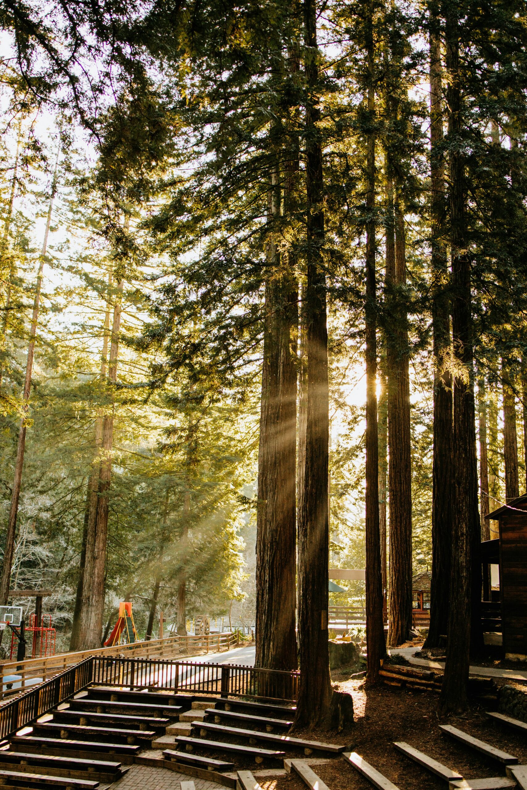 The Most Stunning Campgrounds in California You Need to Visit NOW