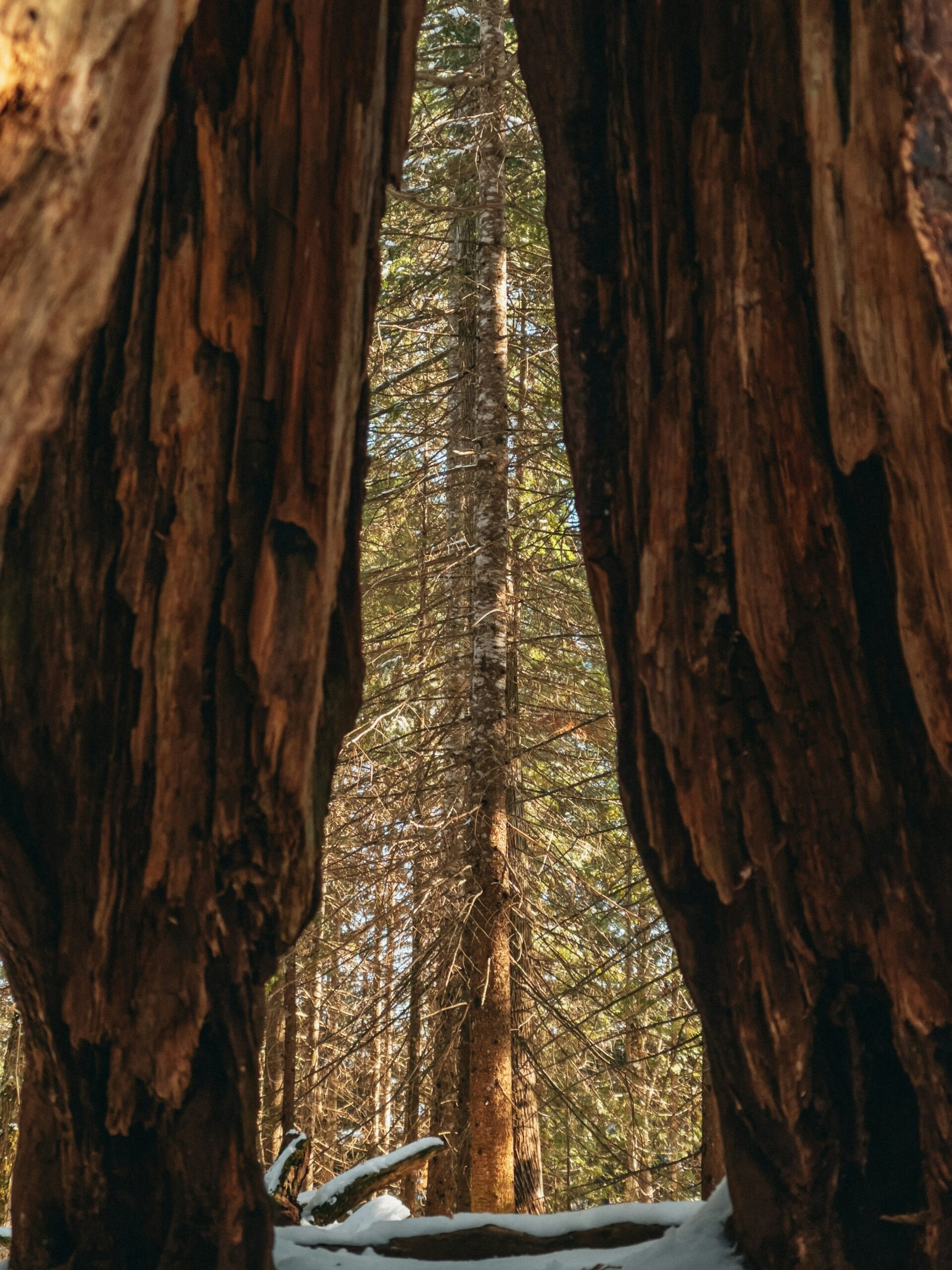 The Most Stunning Campgrounds in California You Need to Visit NOW 4 The Most Stunning Campgrounds in California You Need to Visit NOW