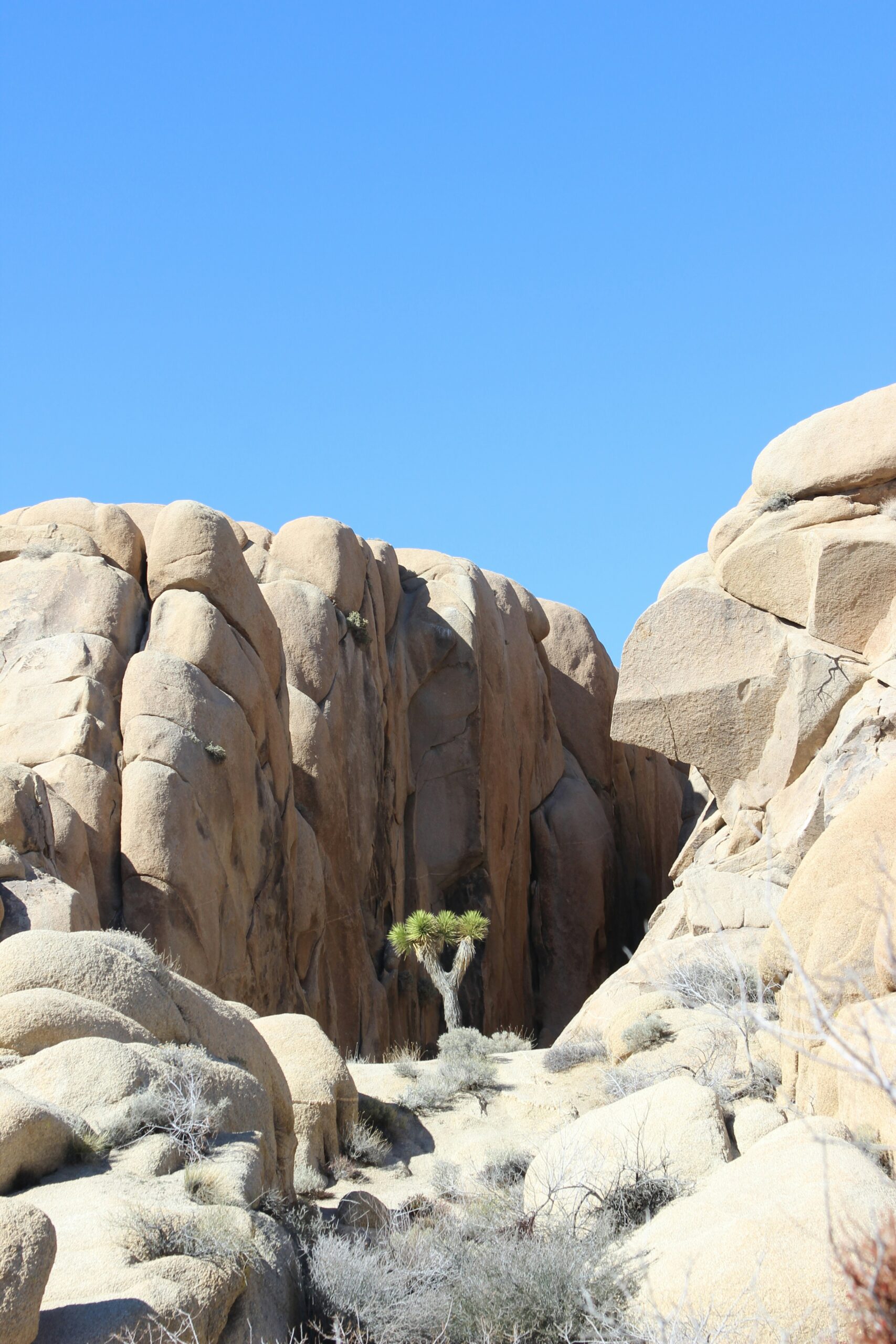 Unique Geological Features of Joshua Tree National Park: Exploring Rock Formations and Desert Wonders 5 Unique Geological Features of Joshua Tree National Park: Exploring Rock Formations and Desert Wonders