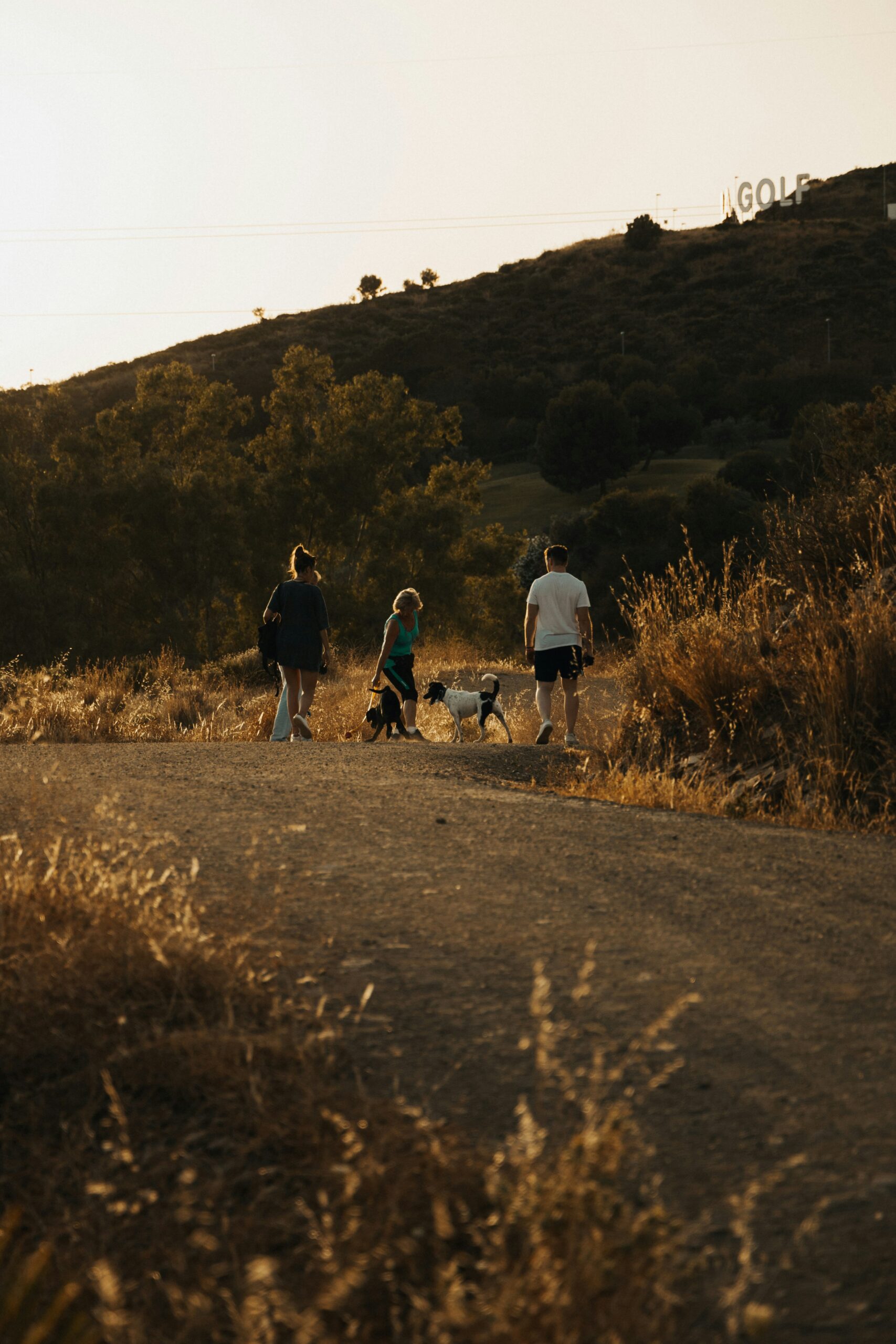 Californian's Favorite Runs to Celebrate Global Running Day 2025: Top Events and Must-Visit Routes 5 Californian's Favorite Runs to Celebrate Global Running Day 2025: Top Events and Must-Visit Routes