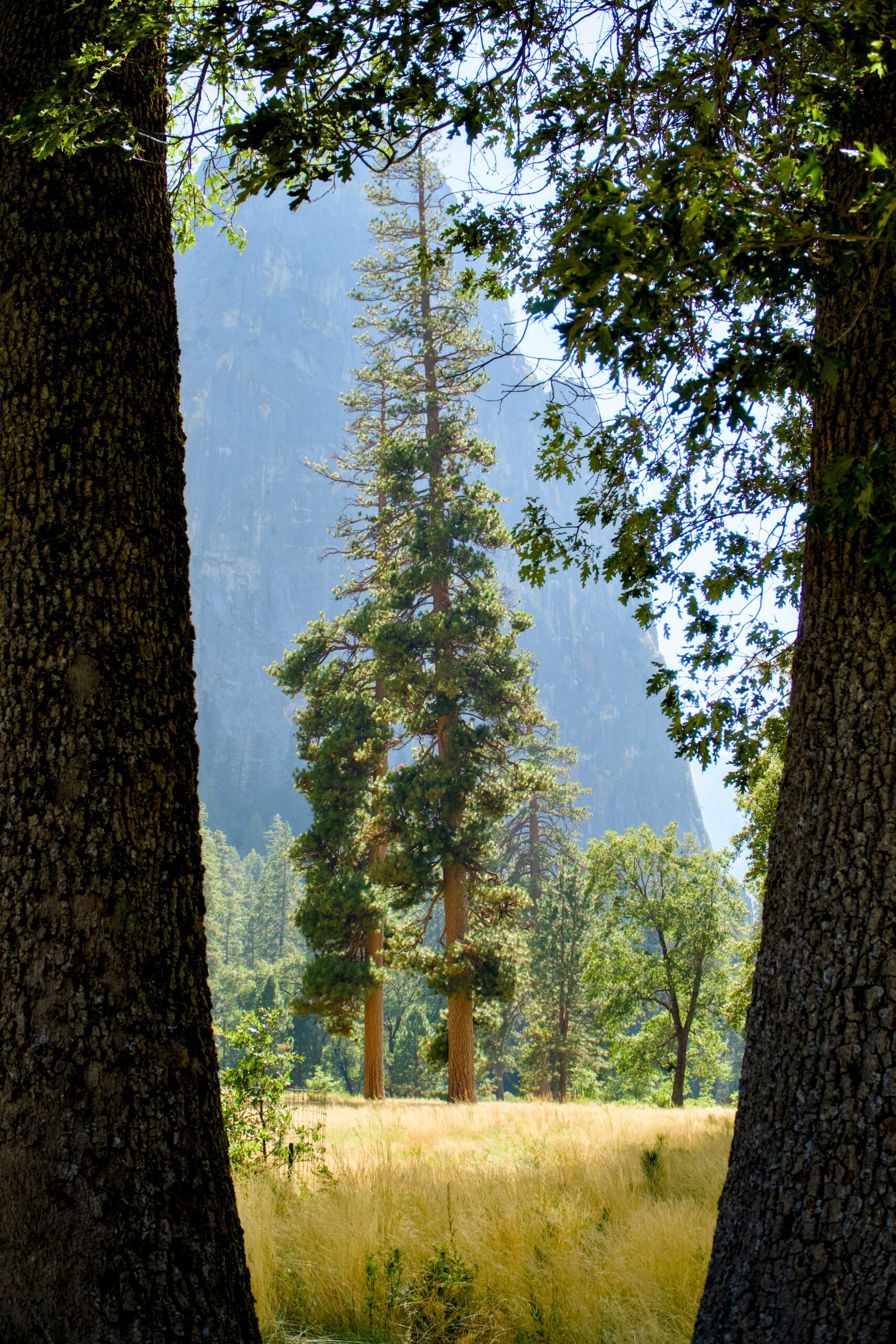 The Most Stunning Campgrounds in California You Need to Visit NOW 6 The Most Stunning Campgrounds in California You Need to Visit NOW