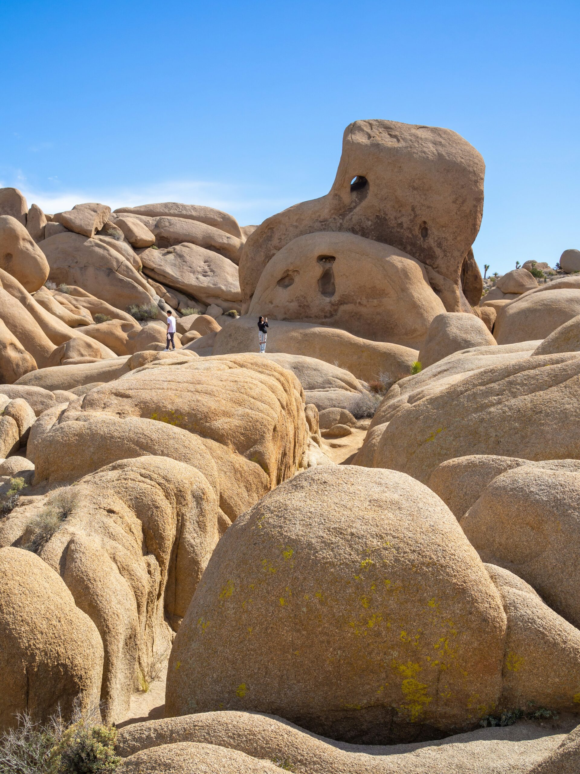 Unique Geological Features of Joshua Tree National Park: Exploring Rock Formations and Desert Wonders 4 Unique Geological Features of Joshua Tree National Park: Exploring Rock Formations and Desert Wonders