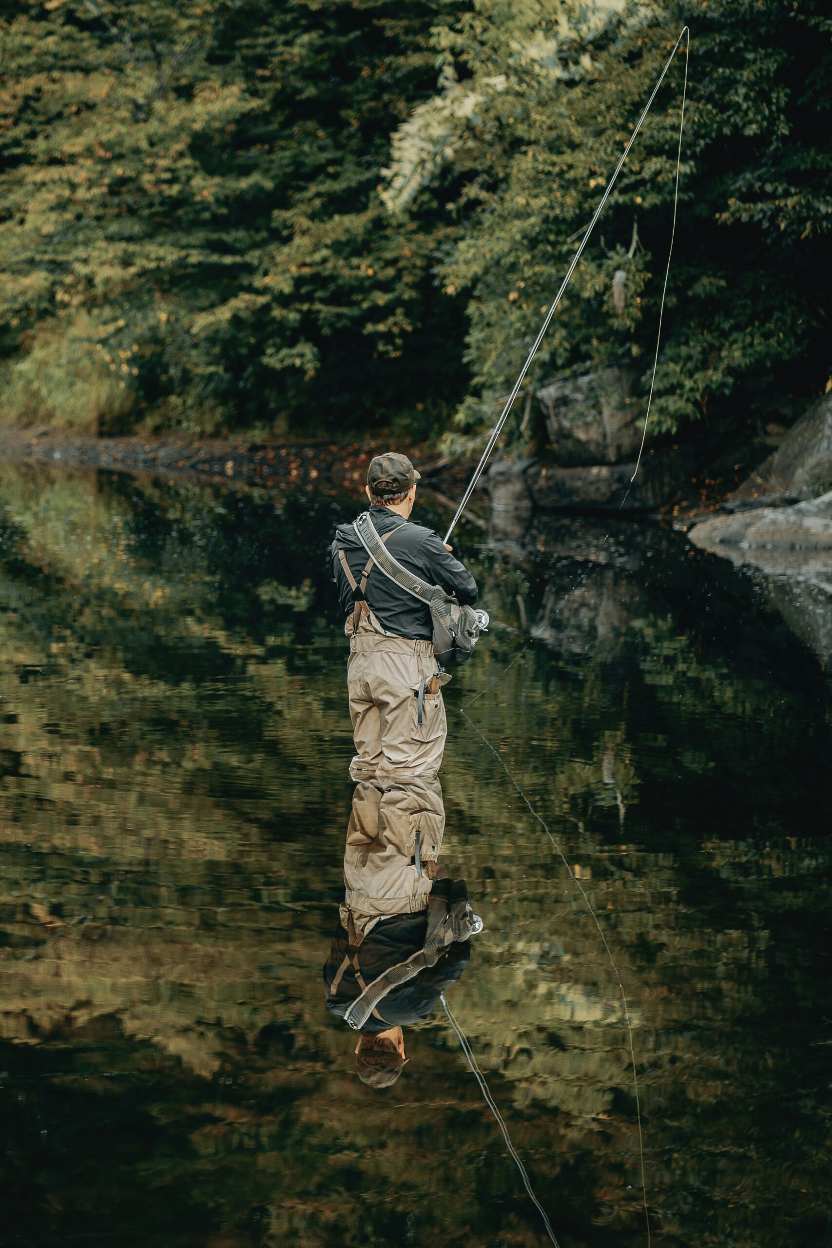 The Ultimate California Fishing Guide: Best Spots for Trout, Bass & Catfish (2025)