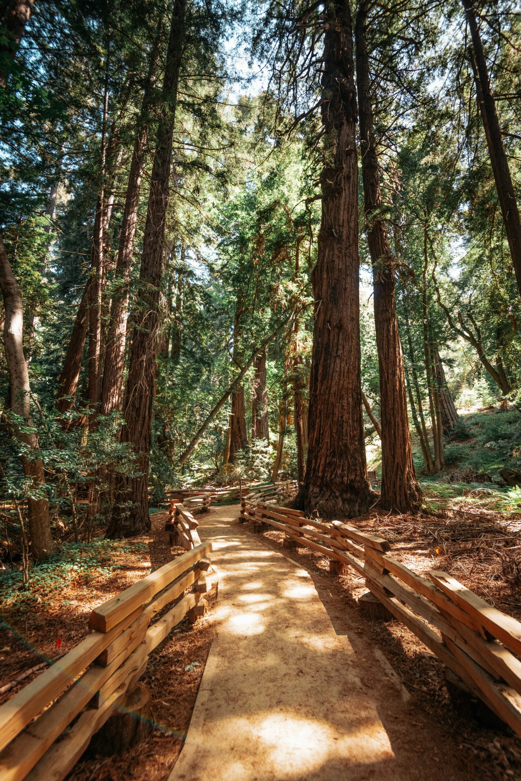 7 Unexpected California Adventures You Can Easily Do in a Single Day: Essential Experiences